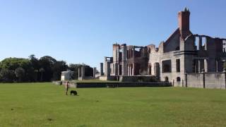 Visiting Cumberland Island GA  - the Carnegie Ruins