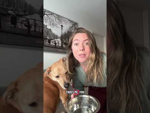 عادت ساندرا الوقحة بكامل قوتها هذا المساء كلب منقذ 