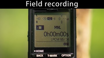 Field recording behind the scenes 12 -  Setting up a drop rig in my local patch