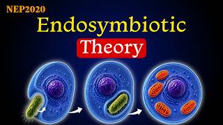 Origin of Eukaryotic Cells | Endosymbiotic Theory Full Explanation With Notes | In Odia | NEP2020 |