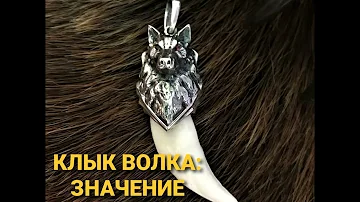 КЛЫК ВОЛКА: ЗНАЧЕНИЕ ОБЕРЕГА