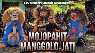 BARONGAN MOJOPAHIT MANGGOLO JATI LIVE BANYU URIP NGAMPEL 
