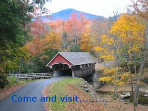 visit new york state commercial