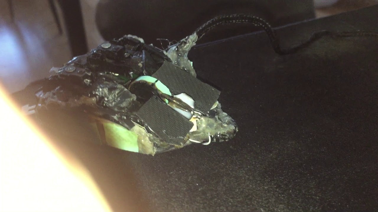 Custom Claw Grip Mouse