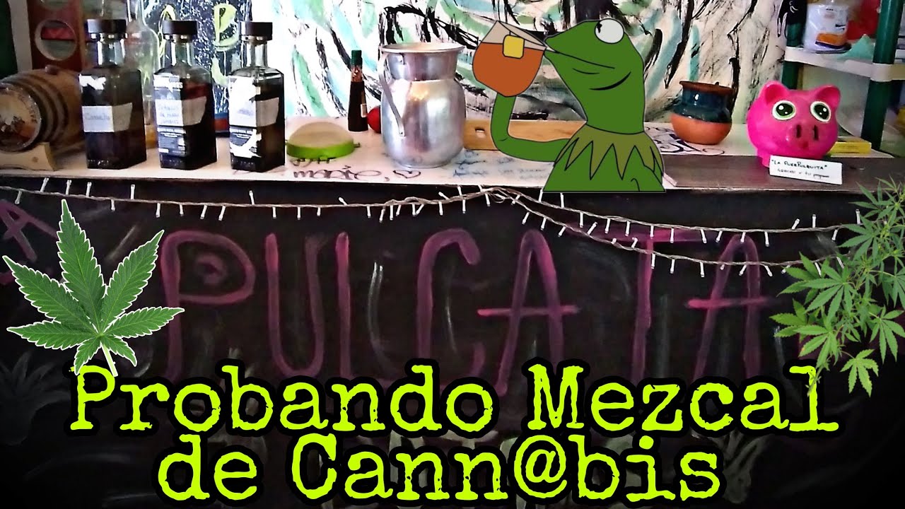 PROBANDO MEZCAL DE CANN@BIS EN LA PULCATA DE ABI