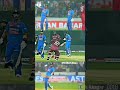 king #circket #viratkholi #trendingshorts