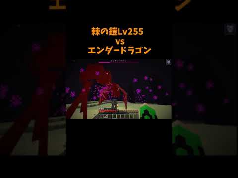 最強の装備 vs エンダードラゴン【マイクラ】【コマンド】