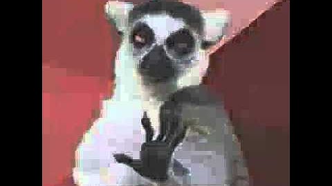 DRM cob ft Mr.Katspo Sula Omuzibu