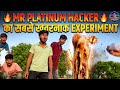 Mr Platinum Hacker का सबसे खतरनाक Experiment 🔥 🧪