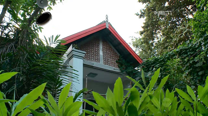 NET17 - Rumah di Makassar tempat tinggal binatang dan tanaman edemik Sulawesi