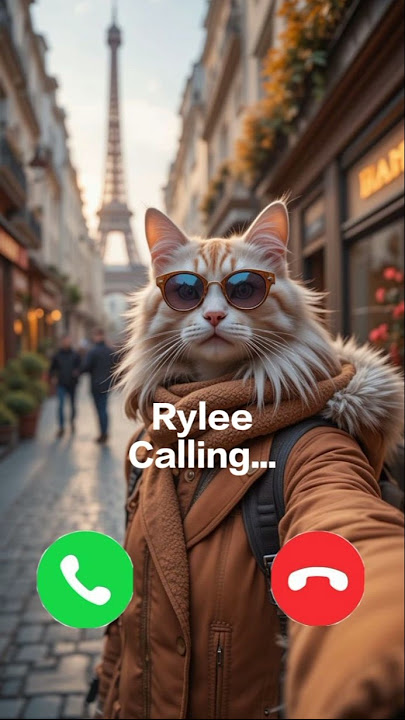 Rylee calling 🤙🏻✨ #ringtone #calling #cat #foryou #cutecat #youtubeshorts #youtube #trending #kitten