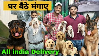 Visiting on Vikas pet shop // Moti bagh