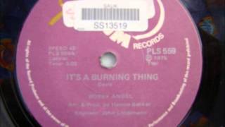 Video thumbnail of "Bobby Angel - It's a burning thing"