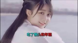 天生丽质没办法DJ版