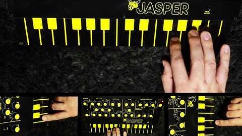 JASPER Analog synth in action  (EDP Wasp clone)