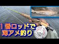 １番6フィートのシングルハンドロッドでウミアメ釣り