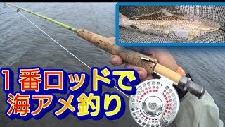 １番6フィートのシングルハンドロッドでウミアメ釣り