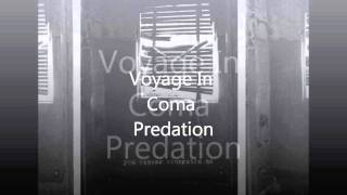 Watch Voyage In Coma Predation video