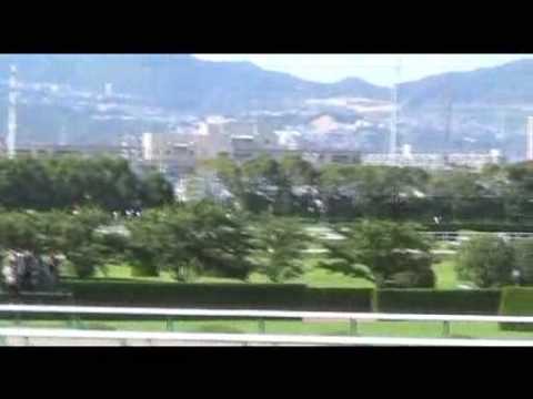 阪神競馬場の第50回宝塚記念