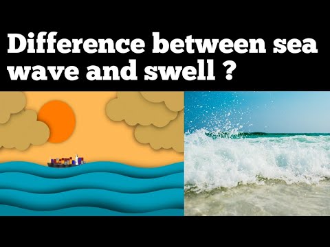 Difference between wave and swell? What is Swell ?