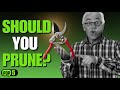 The French PRUNING Secret to More Fruit with Less Work!