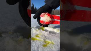 How Do You Make The Perfect Snowball? Watch And Learn! #Shorts