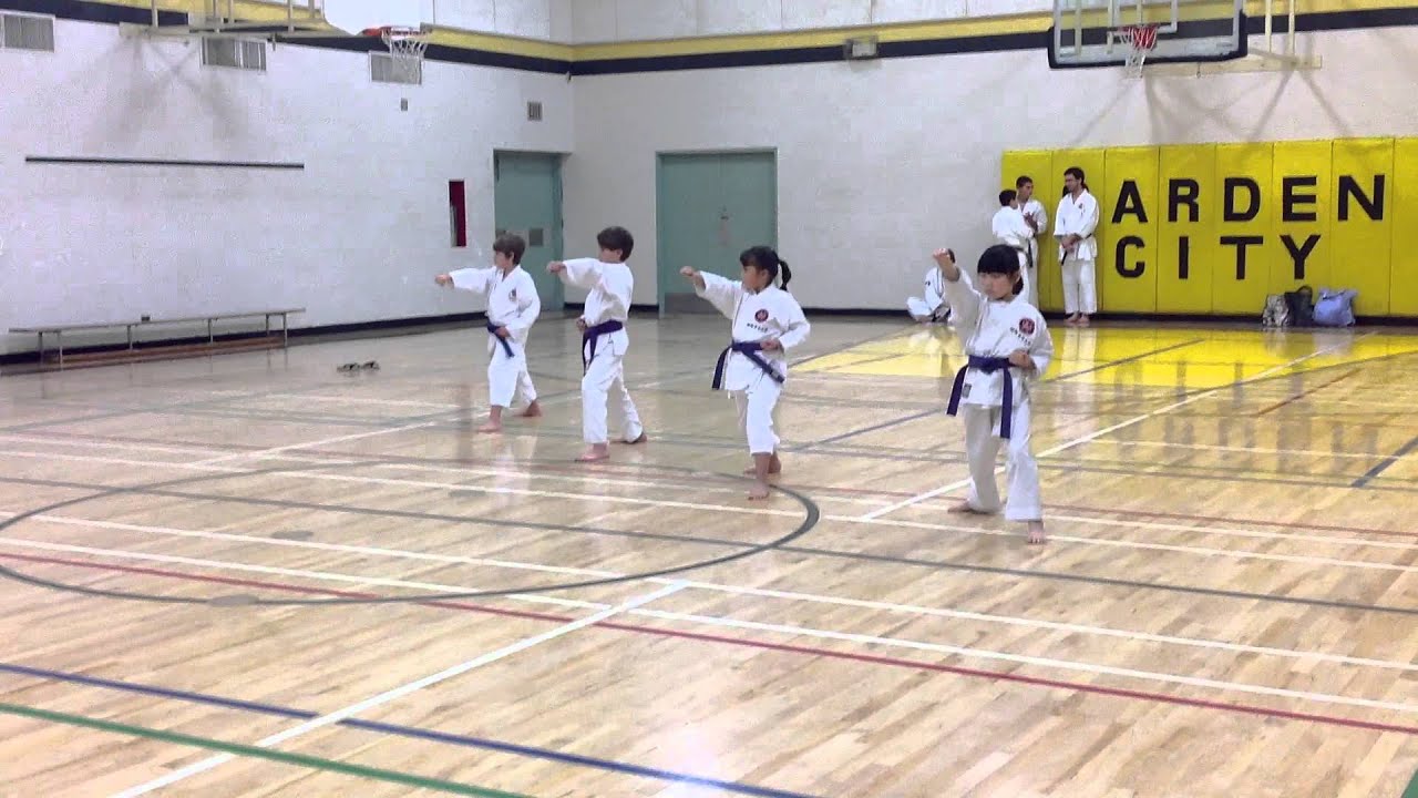 Purple/Brown Belt Testing Basics, IKD Shotokan Karate Shihan Maureen