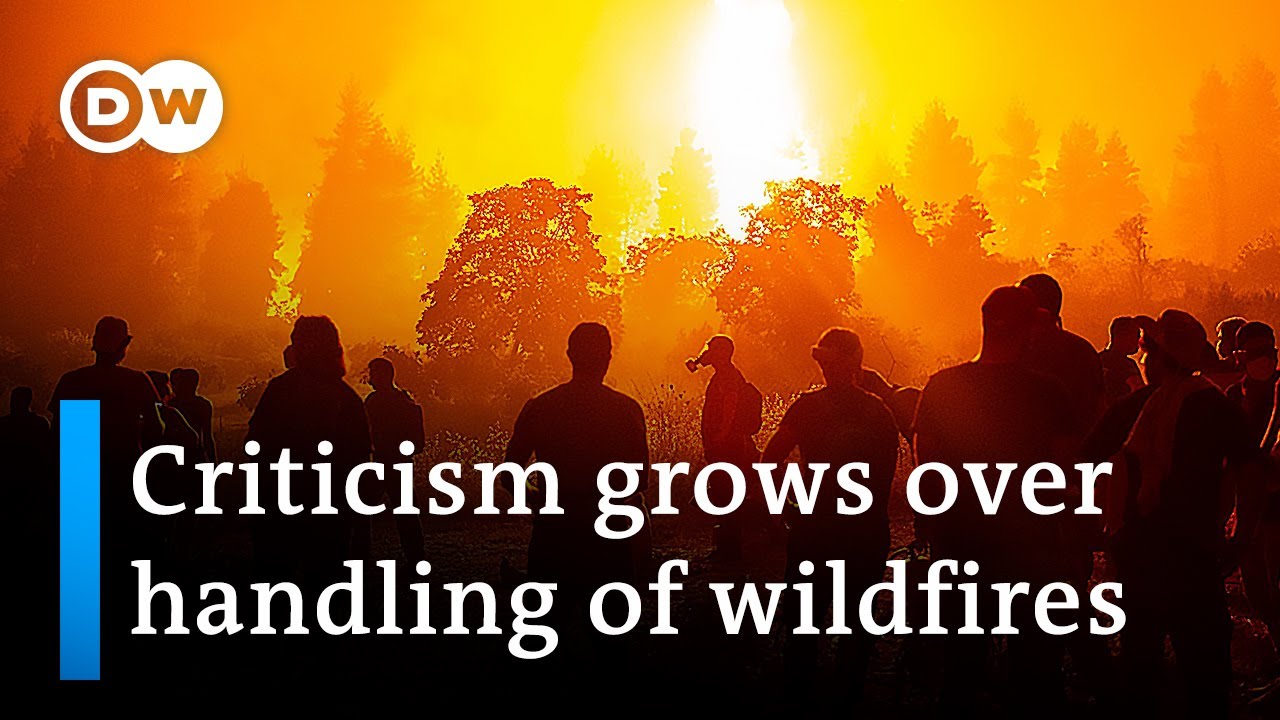 Multinational task force battles Greek wildfires | DW News