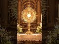 At Your Altar, Jesus | Eucharistic Adoration Songs That Bring Healing and Light
