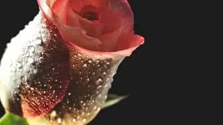 077 - Soorah Al-Mursalat - recited by Ibraaheem Ahmad Sulaymaan