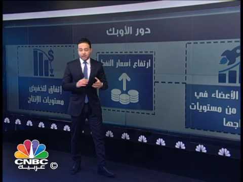 فيديو : حقائق عن سوق النفط
