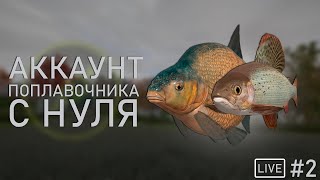 Прокачка аккаунта поплавочника | Копим на новые сборки | Стрим русская рыбалка 4