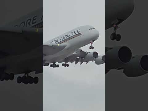   231    380 800  4   4   