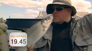 Kalailm N 7. Juunil Etv2-S