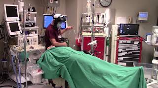 Perioperative COVID 19 Defense Strategy: Intraoperative