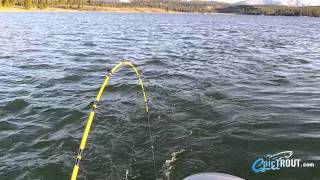 How to Read a Downrigger Rod