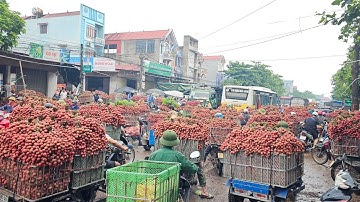 CÙNG SONG HỶ Vlogs Đi CẬP NHẬT GIÁ VẢI XUẤT KHẨU HÔM NAY 02.07 