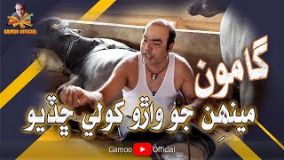 Gamoo Menhin Jo Waarro Kholay Chadyo | Asif Pahore (Gamoo)