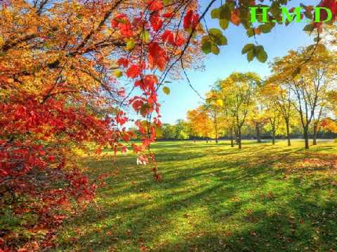 حسناء والجيبسى يلا بينا يلا