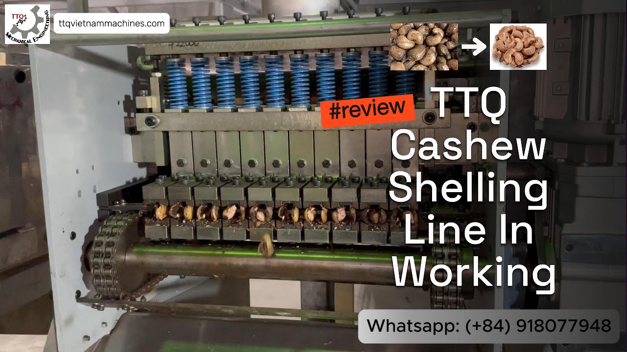 Cashew Shelling Line in Working | 95% Shelling Accuracy by TTQ Vietnam ...