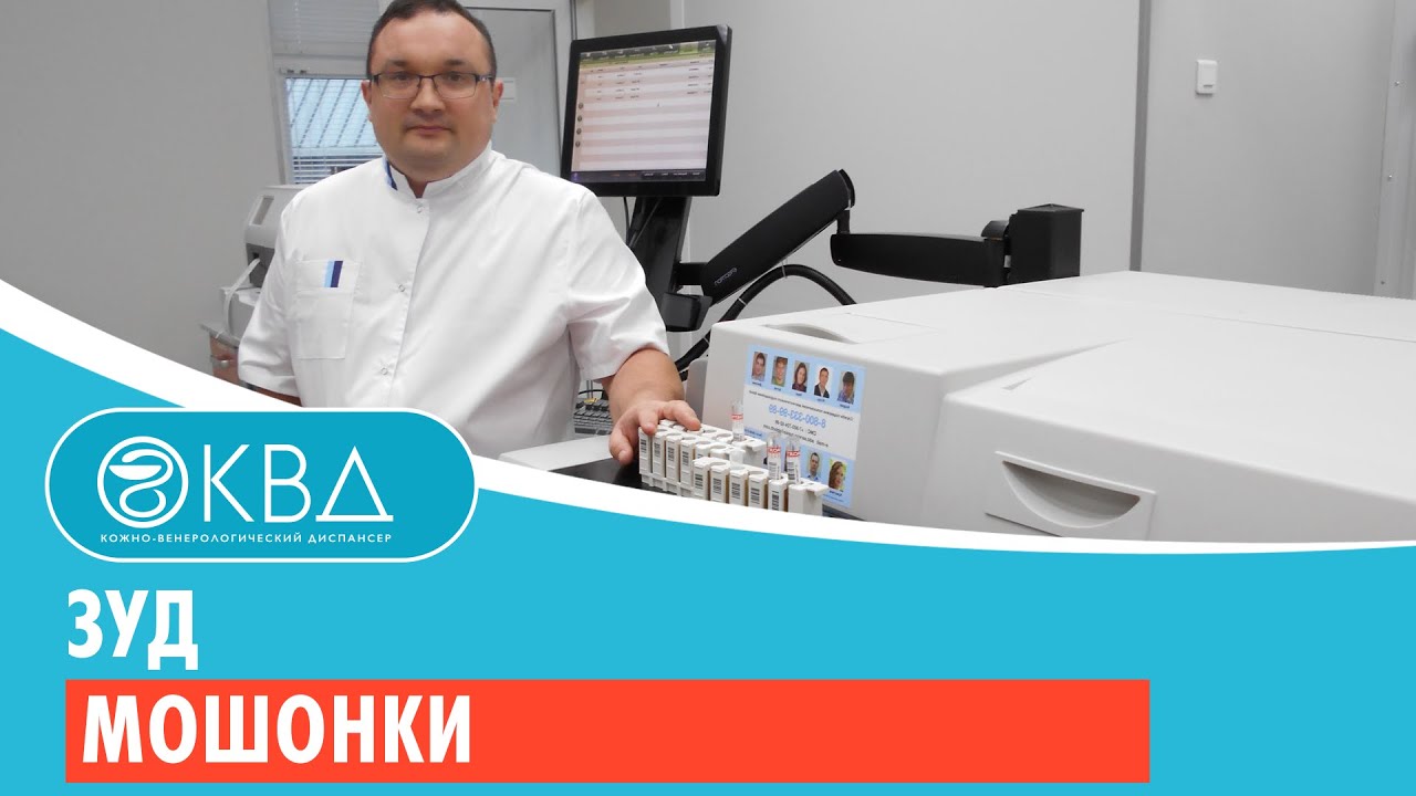 Зуд мошонки. Клинический случай №88