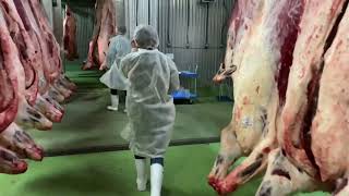 和牛女子が、枝肉を購入！