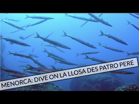 Scuba diving in Menorca, Spain - La llosa des patro pere