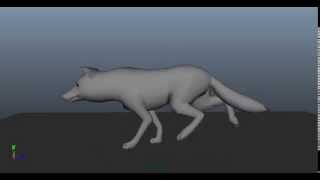 Fox Running Cycle