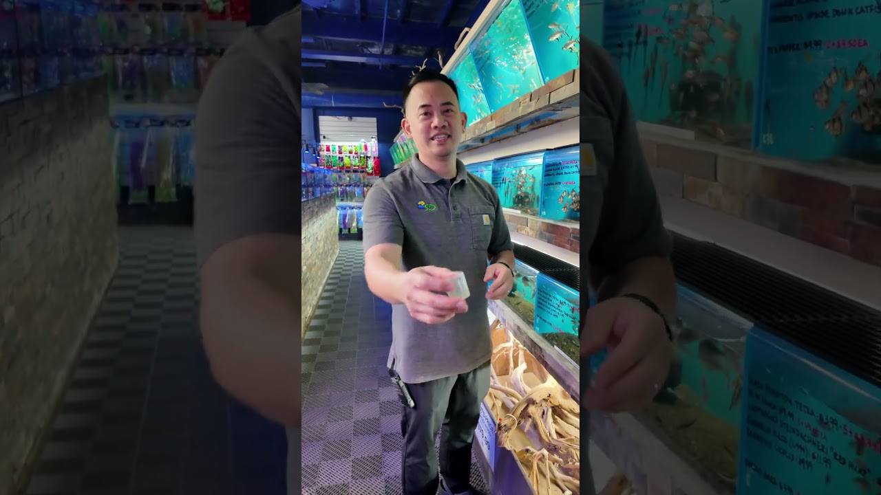 COME GET YOUR LIVE & FROZEN FISH FOOD AT AQUARIUM & REPTILE DEPOT | VOTE FOR US AS BEST PET STORE