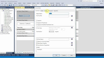 NGO Management System Part 84 Reports Form C# C Sharp