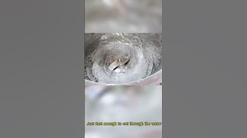 High speed dispersing mixer vacuum emulsifying mixer