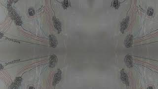 Original Copy - Software Test for Visuals - Upcoming Performance Patch in MaxMSP