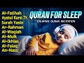 Relaxing Quran For Sleep And Your All Problems Solve By Abdullah Shaban Relaxing Holy Quran 