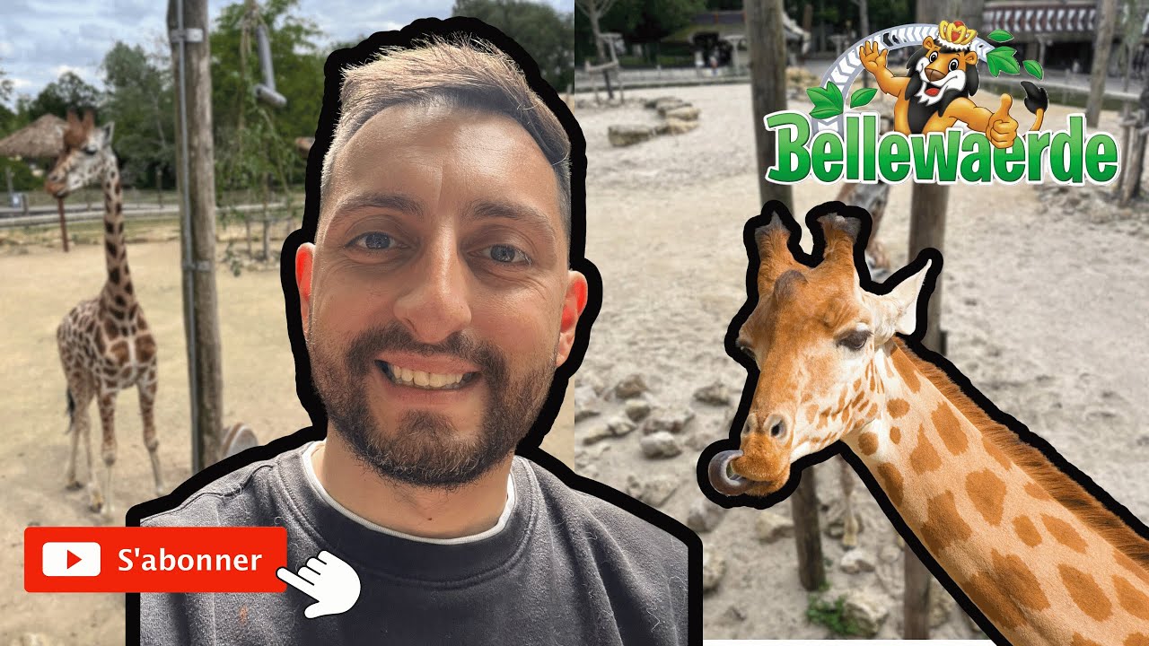 LES ANIMAUX DE BELLEWAERDE PARK !